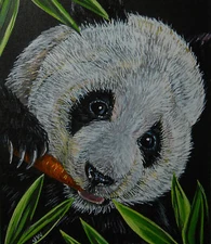  Panda bear animal wildlife print of painting