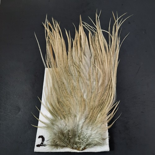 Light Gray Ginger Dun Rooster Saddle Hackle Long Dry Fly Tying Feathers #2 - Picture 2 of 4