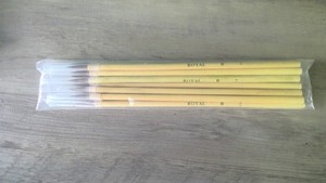 NEW Set of 12 Royal B 2 Paint Brushes