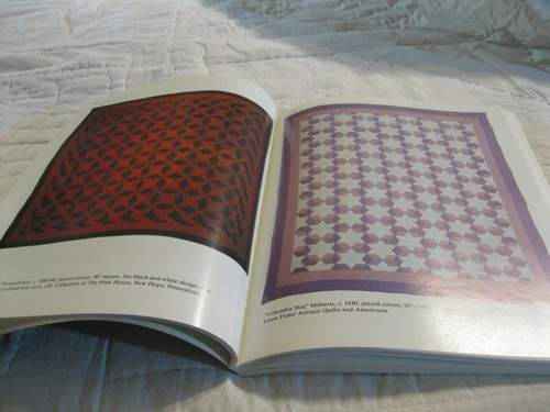 A Constellation for Quilters : Star Patterns for Piecing by Carol LaBranche (199 - Foto 4 di 4