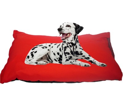 kosipet dog bed