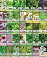 Gardeners Basics Complete Medicinal Herb Seeds for Planting Collection - 35 Best