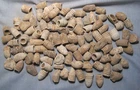 Lot of 100 Dug Civil War Fired Bullets from Port Hudson