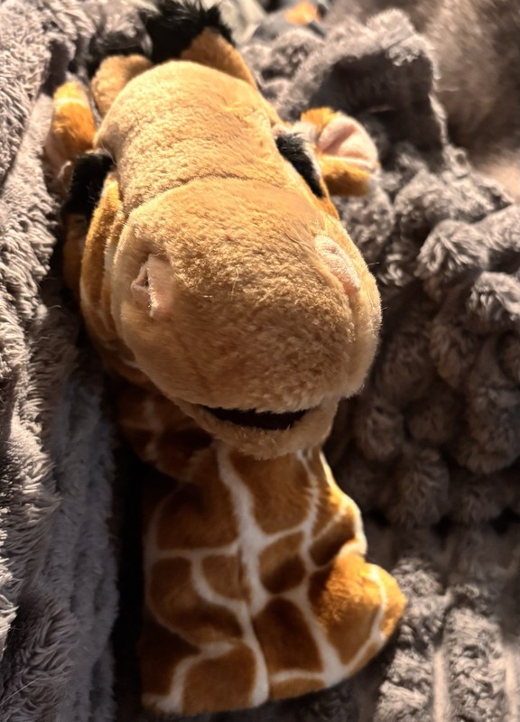  The Puppet Company Giraffe Puppet 