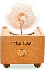 Bluetooth Speaker Crystal Ball 65Mm LED Lighting Premium Preserved Natural Flowe