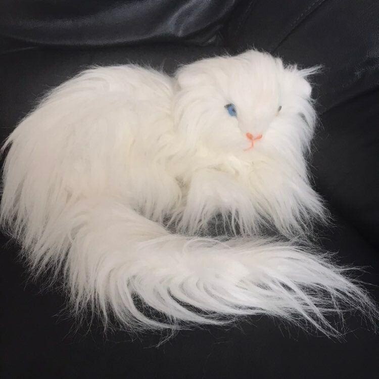 fluffy cat stuffed animal