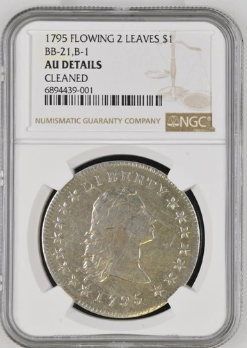1795 FLOWING HAIR 2 LEAVES DOLLAR, NGC AU DETAILS CLEANED, B-1 BB-21 R-2
