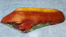 Red Eucalyptus Turquoise Chrysocolla Mini Table Bonsai Plant Stand 6x12x1/2"