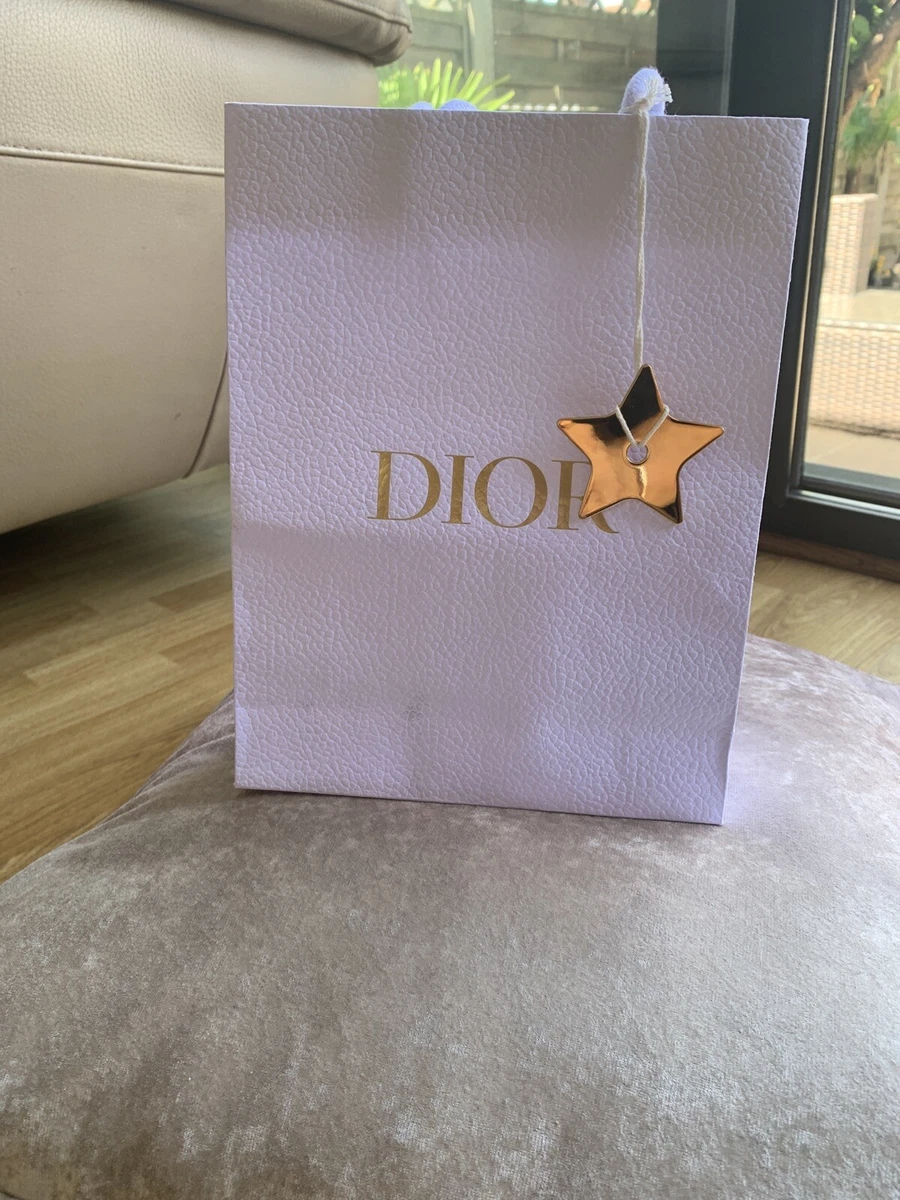 Paper bag shop dior