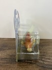Foto 3 di 5