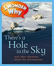 I Wonder Why There's a Hole in the Sky Picture Book Sean Callery