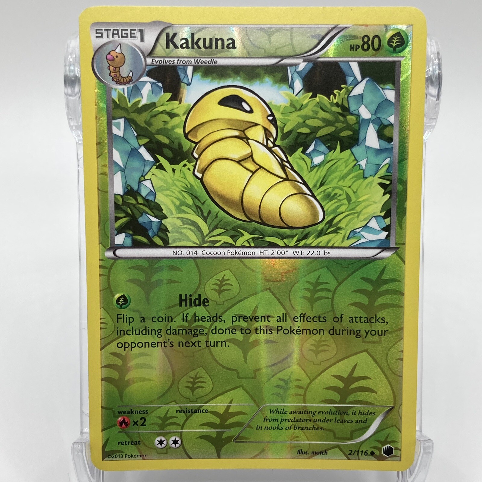 Kakuna Reverse Holographic Uncommon 2/116 Pokémon TCG Plasma Freeze NM