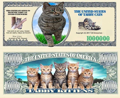 Tabby Cat and Kittens Million Dollar Bill Funny Money Novelty Note + FREE SLEEVE