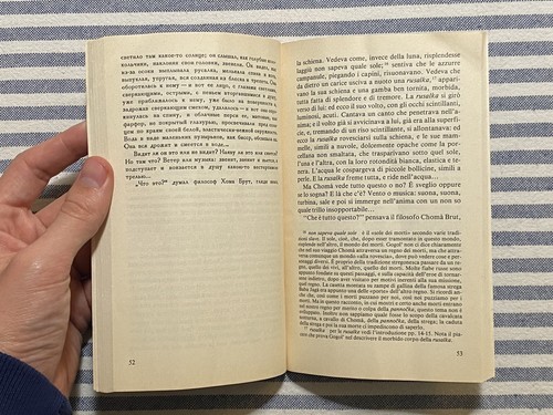 Nikolaj Gogol - IL VIJ - Prima edizione Rizzoli BUR 1994 - Foto 9 di 10