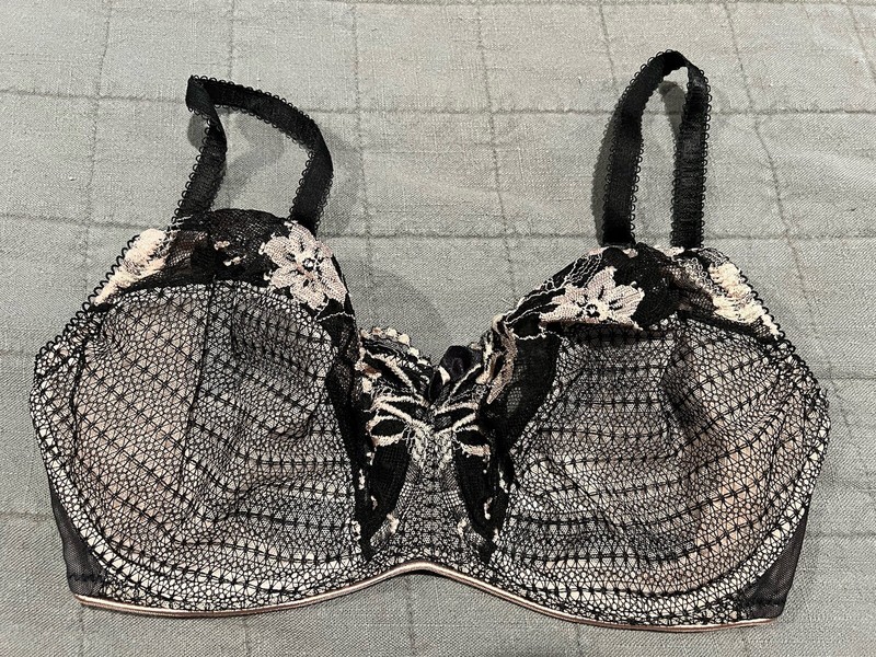 Lunaire Bra 34DDD 34 DDD Sheer Cups Sexy Black Lacy New NWOT