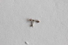 anchor-pallet fork (710)Lanco (Lancyl, Langendorf, Larex) 6630 500 600 561