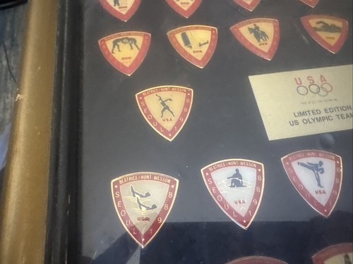 Juego de 30 prendedores conmemorativos del equipo olímpico de Estados Unidos Beatrice/Hunt-Wesson 1988 edición limitada SEÚL - Imagen 15 de 17
