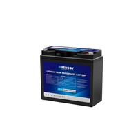 Renogy 12V 20Ah Trolling Motoren Lifepo4 Lithium Batterie Bluetooth 4000+Zyklen