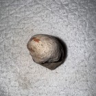 Bild 9 von 12