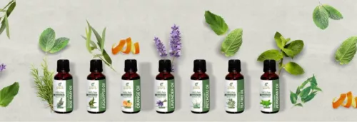 Essential Oil & Carrier Oil 100% Organic Uncut Pure 98+Option Therapeutic G+10ML