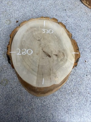 Pappel 330-280-50 ofengetrocknet