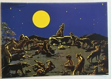 CNGEI Sezione Di Bolzano Cartolina 1983