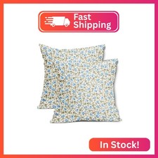 Spring Daisy Floral Pillow Covers 18X18 Inch Sage Green Blue Vintage Flowers Dec