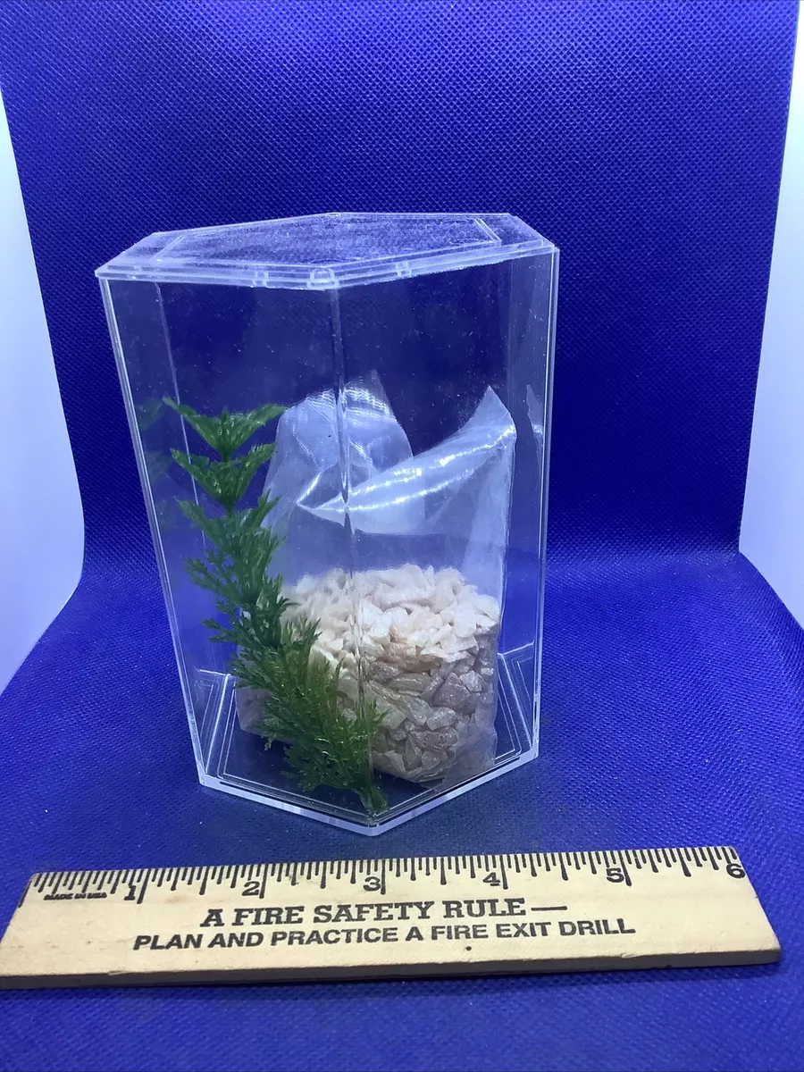 Small hexagon fish tank 2025