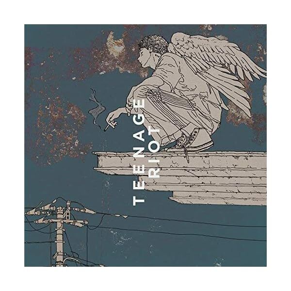 Flamingo / TEENAGE RIOT Teenage Edition First Press Limited F/S w/Tracking#