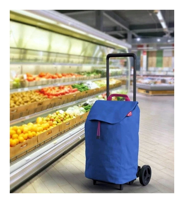 Gimi Carrello spesa (40Lt) EASY NEW (34x10x96cm) Blu 168430 - Immagine 2 di 3