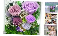 Long-Lasting Real Flowers, Handcrafted Preserved Rose Bush For you Purple Rose