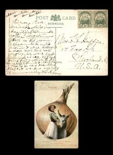 Mayfairstamps Bermuda to Cleveland OH Woman Donkey Onion Postcard aaz_36037
