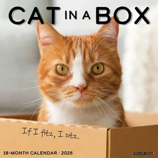 Willow Creek Press Calendars, Cat In A Box 2025 Wall Calendar