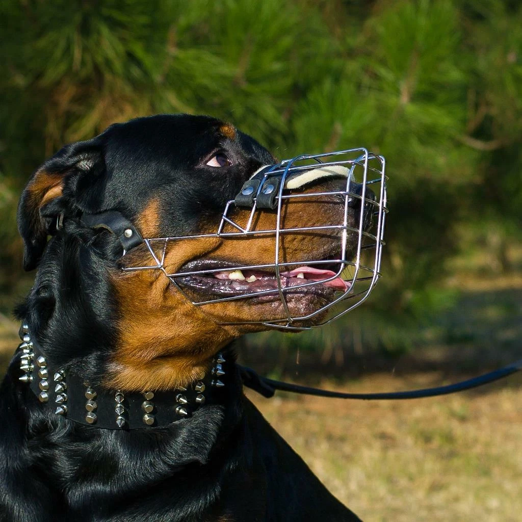Wire mesh dog muzzle deals