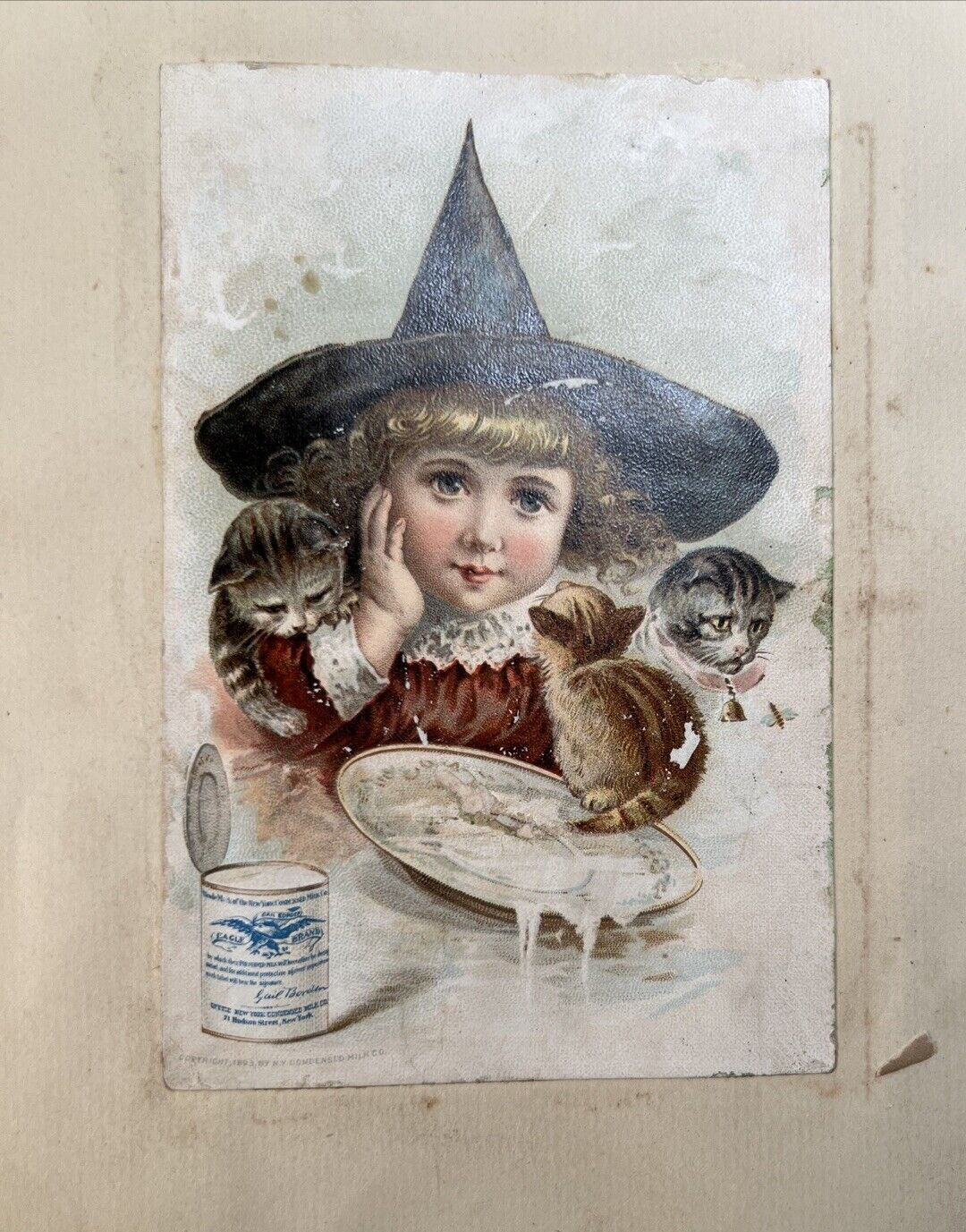 Foto 11 di 24