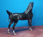 Peter Stone model horse DAH 2013 Fac. Custom Arabian glossy dapple grey NR — photo 8