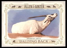 2021 Topps Allen & Ginter Rallying Back Arabian Oryx #RB-4