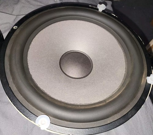 Par de altavoces woofer Vifa M25WO-40 8 ohmios 10" Dinamarca conceptos de audio de gran forma - Imagen 3 de 16