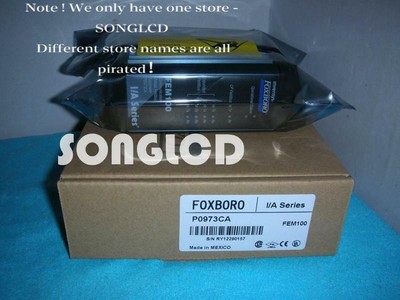 1PCS NEW FEM100 / P0973CA via DHL or FedEx #E7