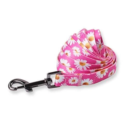 Dog Harness Leash Set Adjustable Heavy Duty No S(14"-20" Chest Girth) Daisy Dog Harness Leash Set Adjustable Heavy Duty No S(14"-20" Chest Girth) Daisy