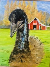Emu In Front Of Barn