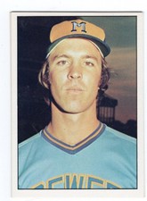 1975 SSPC Baseball Rick Austin # 248  NMT