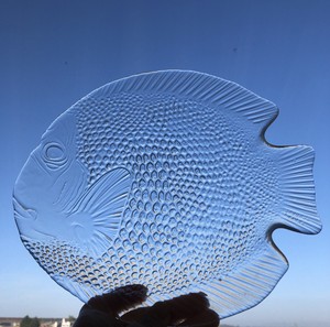 Set Of 6 Arcoroc Glass Fish Plates Made In France 10 1 4 X 8 1 4 Embossed Ebay