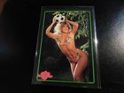 Bild 57 von 97