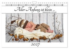 Calendar 2027 US Version All beginnings are small - baby calendar with Noah