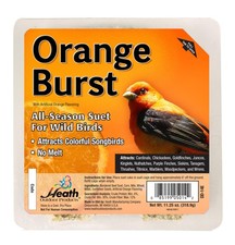 Suet Cake Orange Burst Pack of 10 DD14-10 Heath Outdoor Products