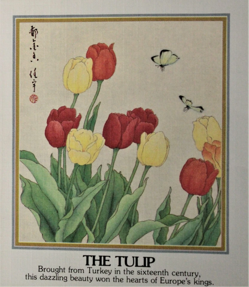 USPS FDC #1876-79 – 1981 18c Flowers Set of 4 Fleetwood Cachet ST1187 - Image 3 of 3