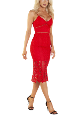 bardot roxy lace dress Remy Lace Dress In Light Blue