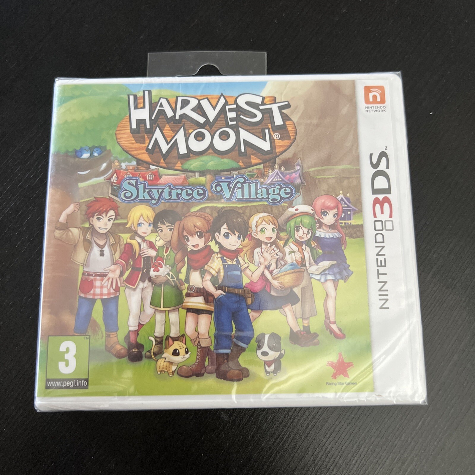 Harvest Moon Skytree Village Game Nintendo 3Ds 5060102954590 - Image 3
