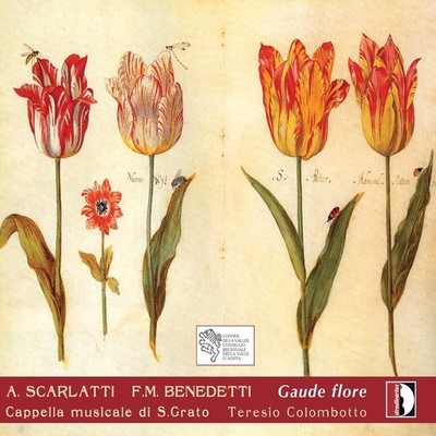 Teresio Colombotto - Gaude Flore: Italian Music of the 17th & 18th Century [New
